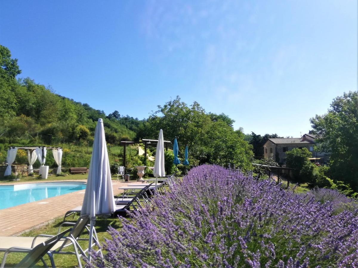 Le Ginestre Guesthouse Assisi Exterior photo